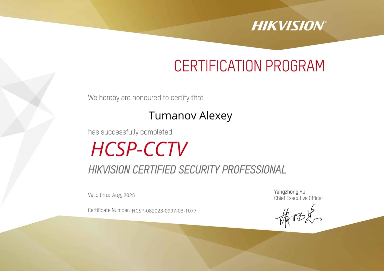 Алексей Туманов · Hikvision HCSP-CCTV