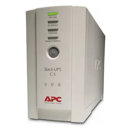 Источник бесперебойного питания APC Back-UPS BK500EI