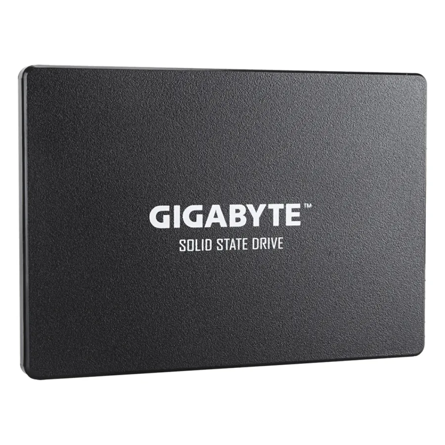Твердотельный накопитель внутренний Gigabyte GP-GSTFS31100TNTD
