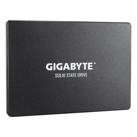 Твердотельный накопитель внутренний Gigabyte GP-GSTFS31100TNTD