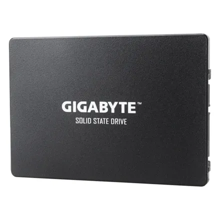 Твердотельный накопитель внутренний Gigabyte GSTFS31240GNTD