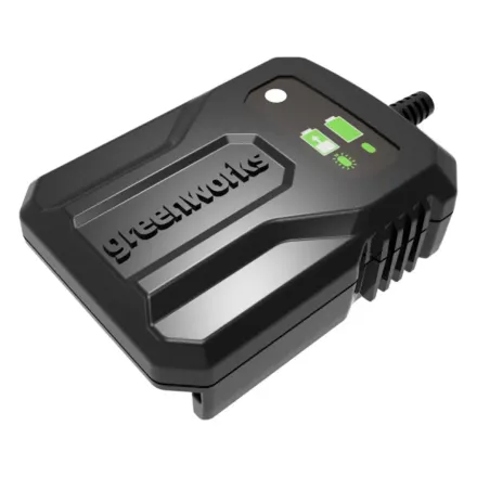 Зарядное устройство Greenworks 40V 2A