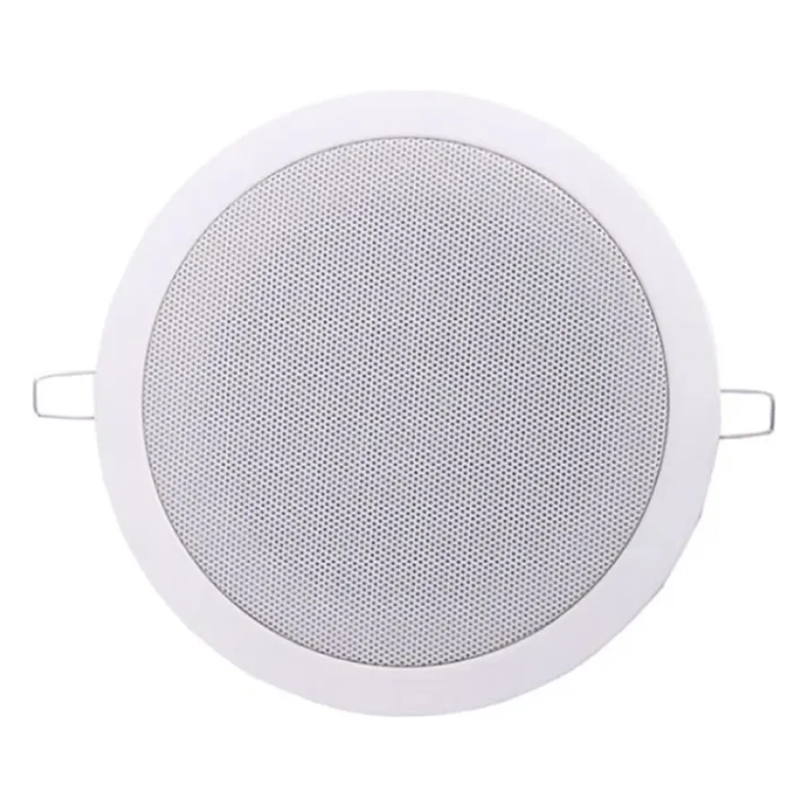 L-FRANK AUDIO HSR 109-5T 5W — дауыс зорайтқыштар мен микрофондар